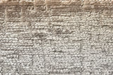 Alexandre Truffle fabric swatch