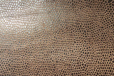 Monty Chocolate fabric swatch