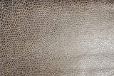 Monty Grey fabric swatch