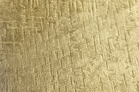 Titus Bronze (D)