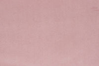 Festival Blush (C)
